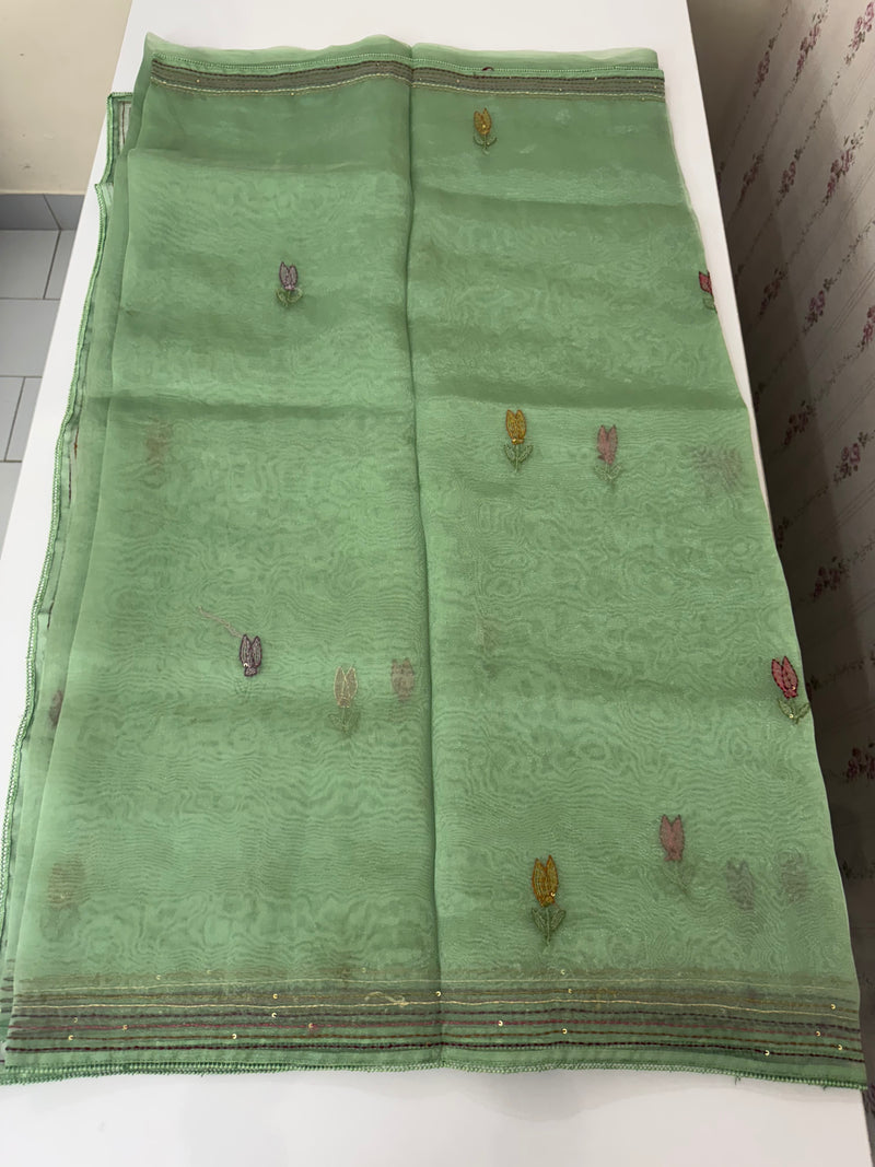 Tissue Organza saree with kanta embriodery MS15600