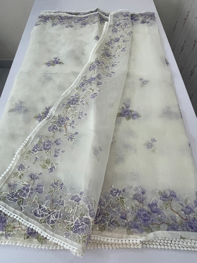 Organza saree with prints & hand embriodery work MS15333