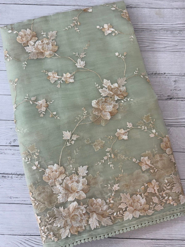 Tissue Organza saree with thread work  MS14931 PastelGreen
