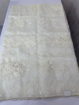 Glass organza saree with applique work- MSHW229- Off White