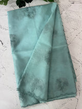 Organza saree with embroidery - MSH375 LightBlue