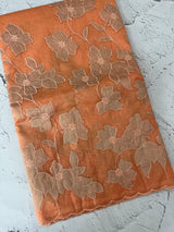 Semi organza saree with tissue applqiue work - MSH931