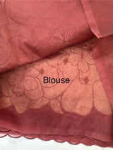 Double shade Semi organza saree with appliqué work - MSH949