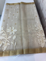 Banarasi Organza saree with applique work MS4532