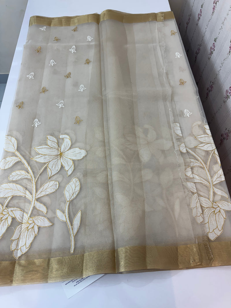 Banarasi Organza saree with applique work MS4532