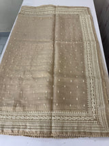 Tissue Organza saree with thread work - MS14798 Beige