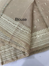 Tissue Organza saree with thread work - MS14798 Beige