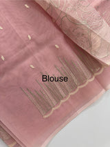 Semi organza saree with thread work - MSH910