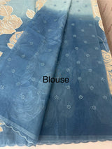 Double shade Semi organza saree with appliqué work - MSH949