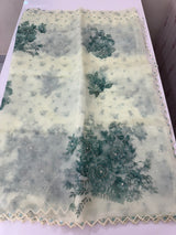 Handworked Glass organza saree with digital prints- MOS987