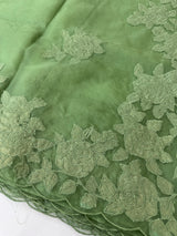 Soft organza saree with applique work - MCW225 DuskyGreen