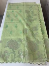 NetKota saree with tissue applique work MS15145 - PastelGreen