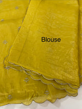 Soft crush Organza saree with embroidery and applique work MS14764