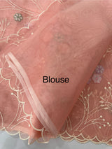 Viscose organza saree with thread work - MSH274