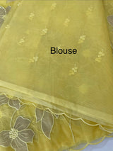 Semi organza saree with tissue applqiue work - MSH931
