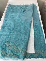 Semi Soft Organza saree with thread work and applique borders - MCW666 LightBlue