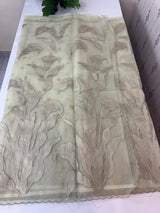 Organza saree with tissue applique work MS5081 - Pastel DuskyGreen