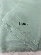 Handworked Crush Organza saree with applique work MBS676 PastelBlue