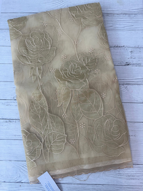 Organza saree with tissue applique work MS5081 - Beige