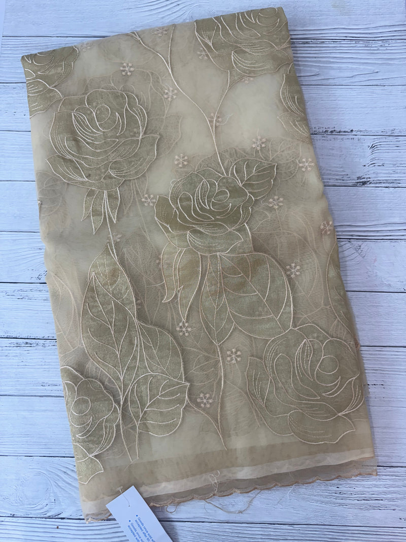 Organza saree with tissue applique work MS5081 - Beige