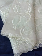 Tissue Organza Applique work saree MS15203