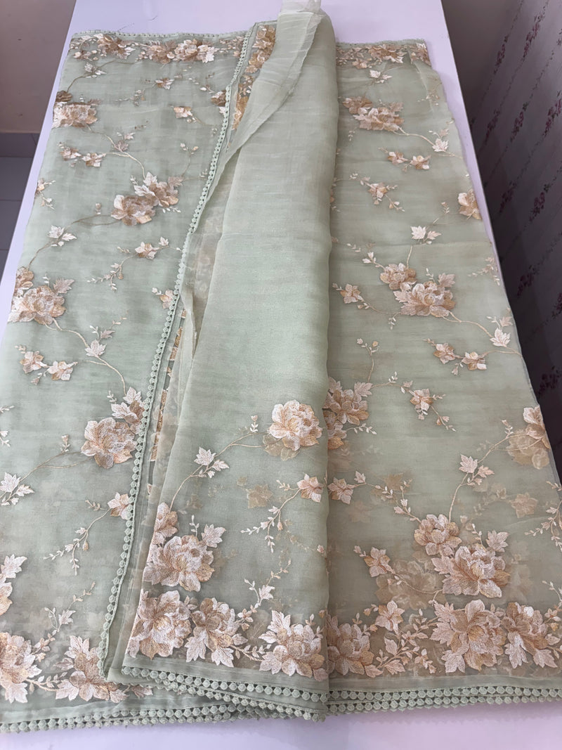 Tissue Organza saree with thread work  MS14931 PastelGreen