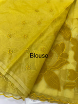 Semi organza saree with appliqué work - MSH906