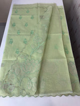 NetKota saree with tissue applique work MS15145 - PastelGreen