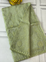 Tissue Organza Applique work saree MS14053