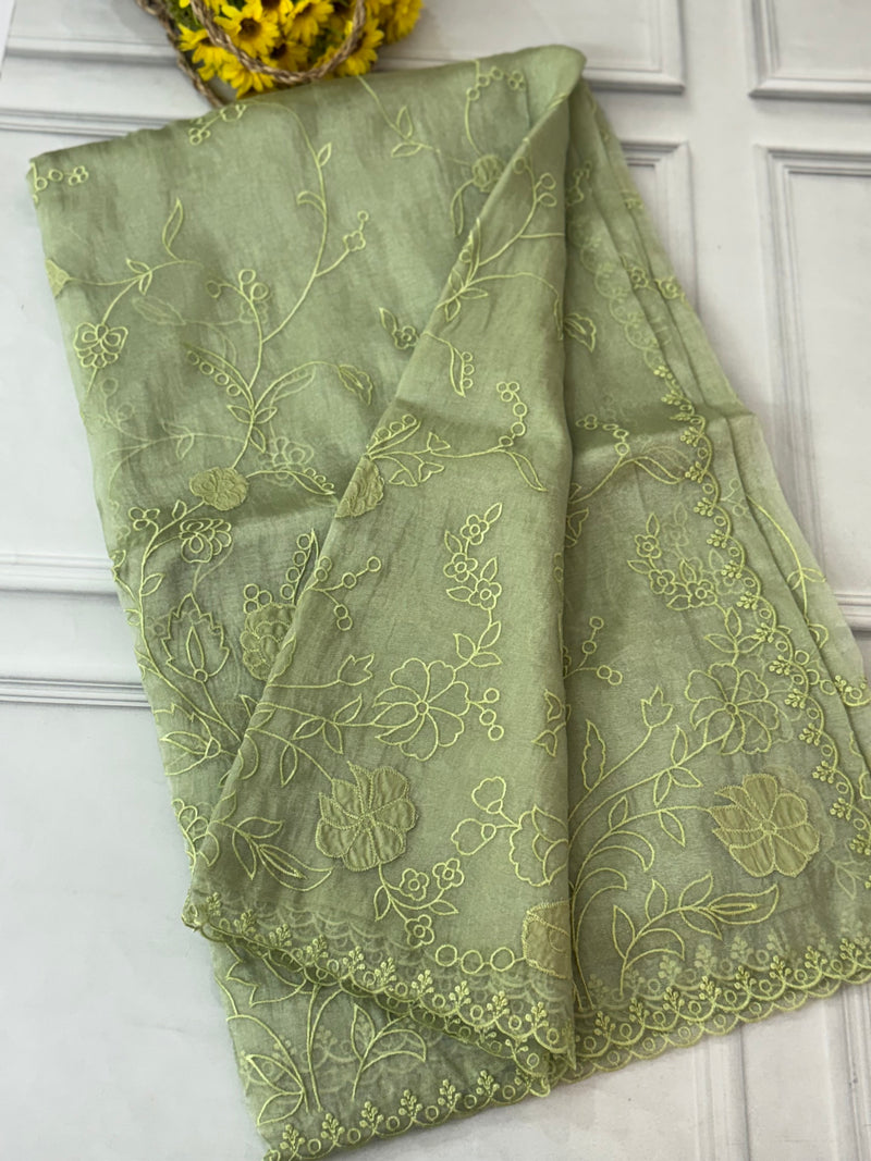 Tissue Organza Applique work saree MS14053