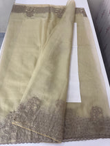 Semi Organza saree with applique and sequence borders - MCW699 Chiku