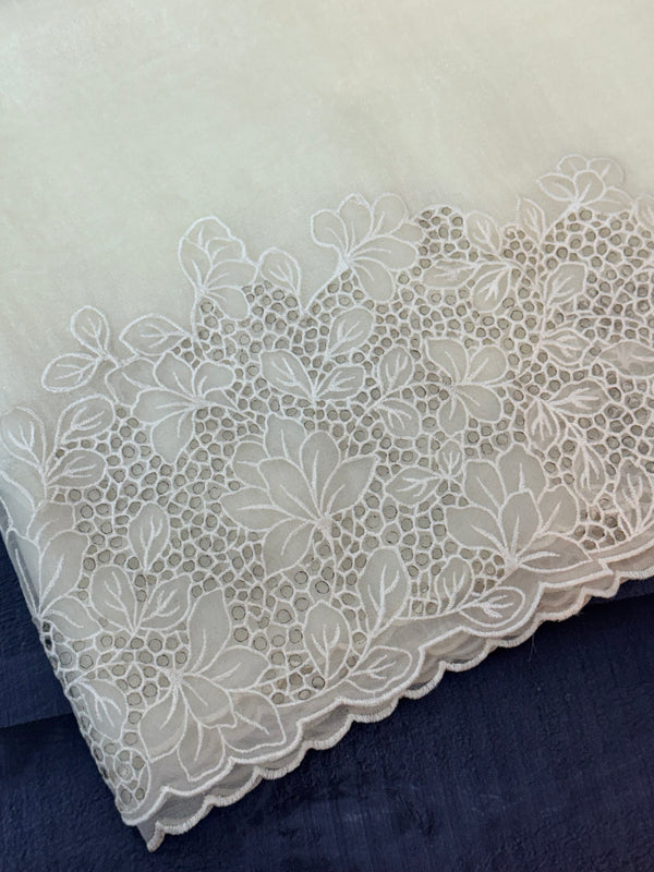 Cutwork Tissue Organza saree MS14154