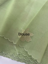 Viscose organza saree with applqiue work - MSH238 PistaGreen