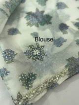 Handworked chiffon Organza saree MCS4534