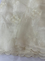 Tissue Organza saree with embroidery - MSH5509 Offwhite