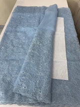 Glass Organza saree with thread work - MCW889