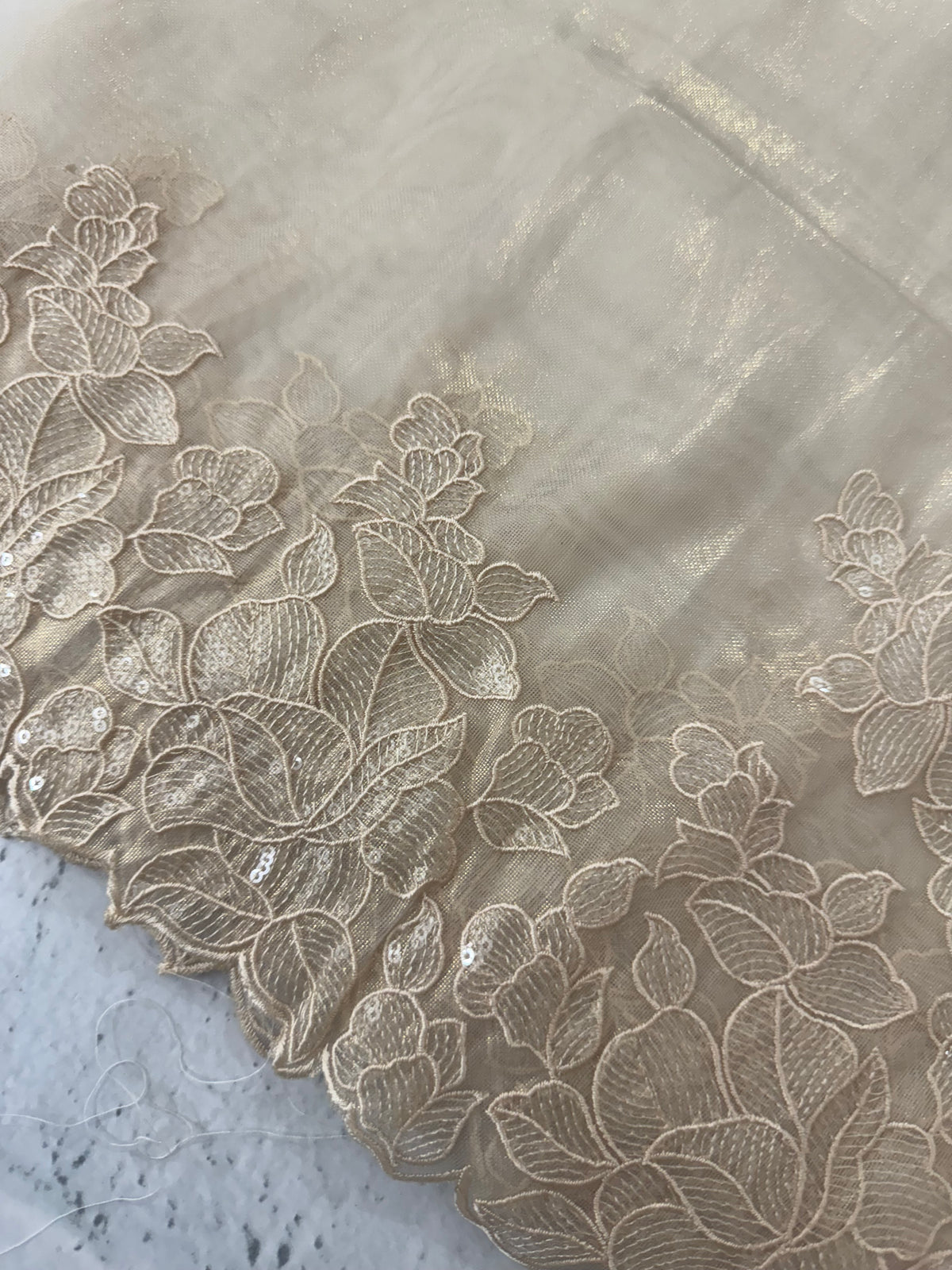 Tissue Organza silk saree with embroidery borders PNCK34 ChampagneGold