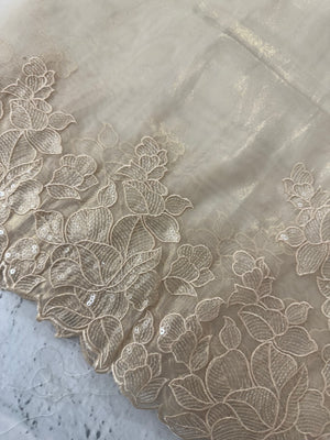 Tissue Organza silk saree with embroidery borders PNCK34 ChampagneGold
