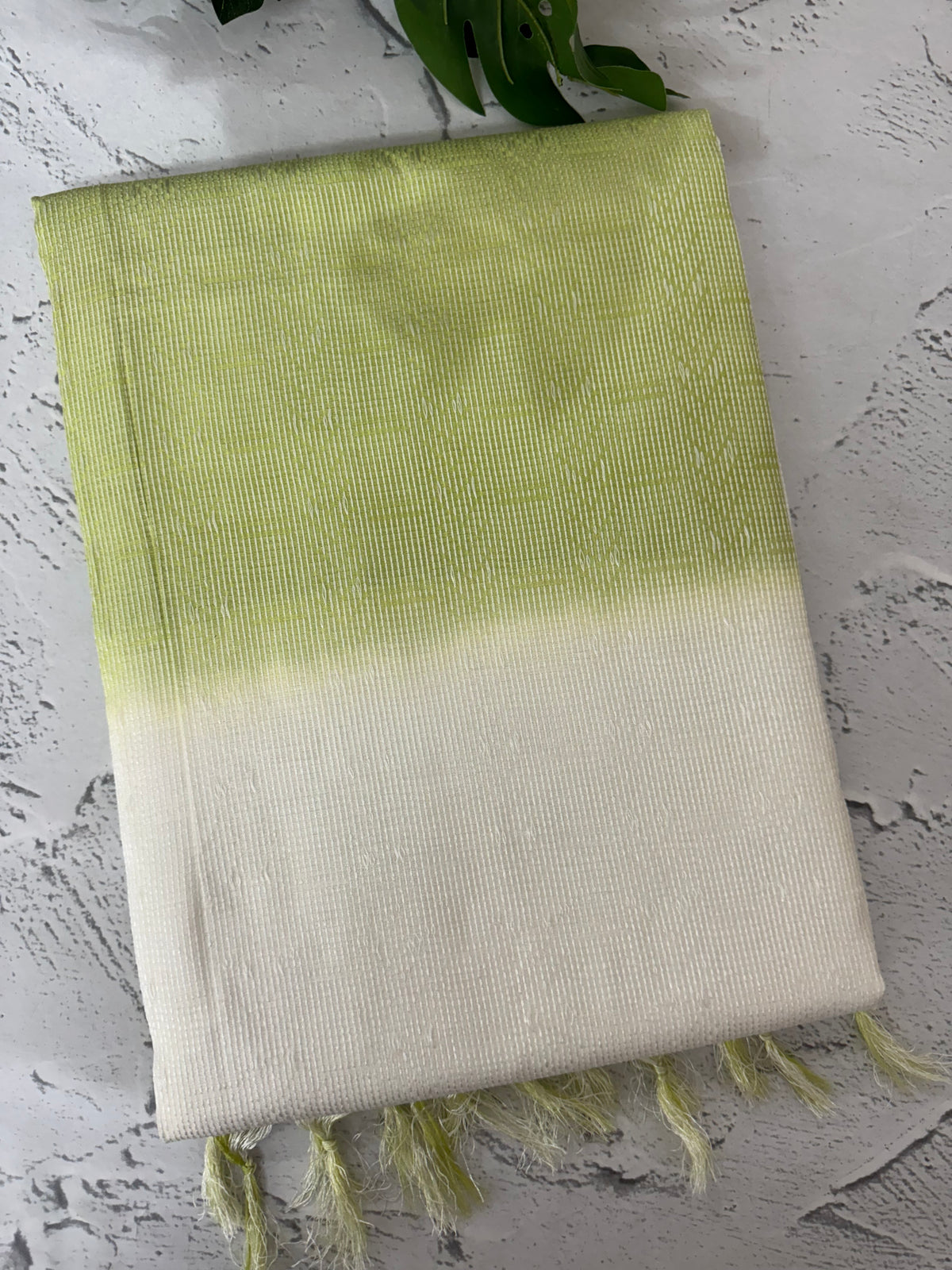 Semi tussar saree with thread work MTS1001 - Offwhite to Green