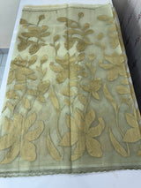 Organza saree with tissue applique work MS5081 - Pastel DuskyGreen