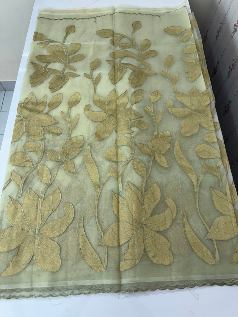 Organza saree with tissue applique work MS5081 - Pastel DuskyGreen