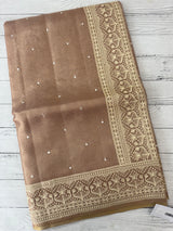 Tissue silk saree with Chikankari embroidery MTTS97(5)