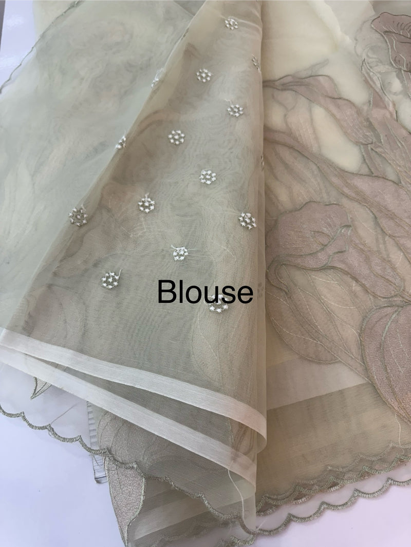 Organza saree with tissue applique work MS5081 - Pastel DuskyGreen