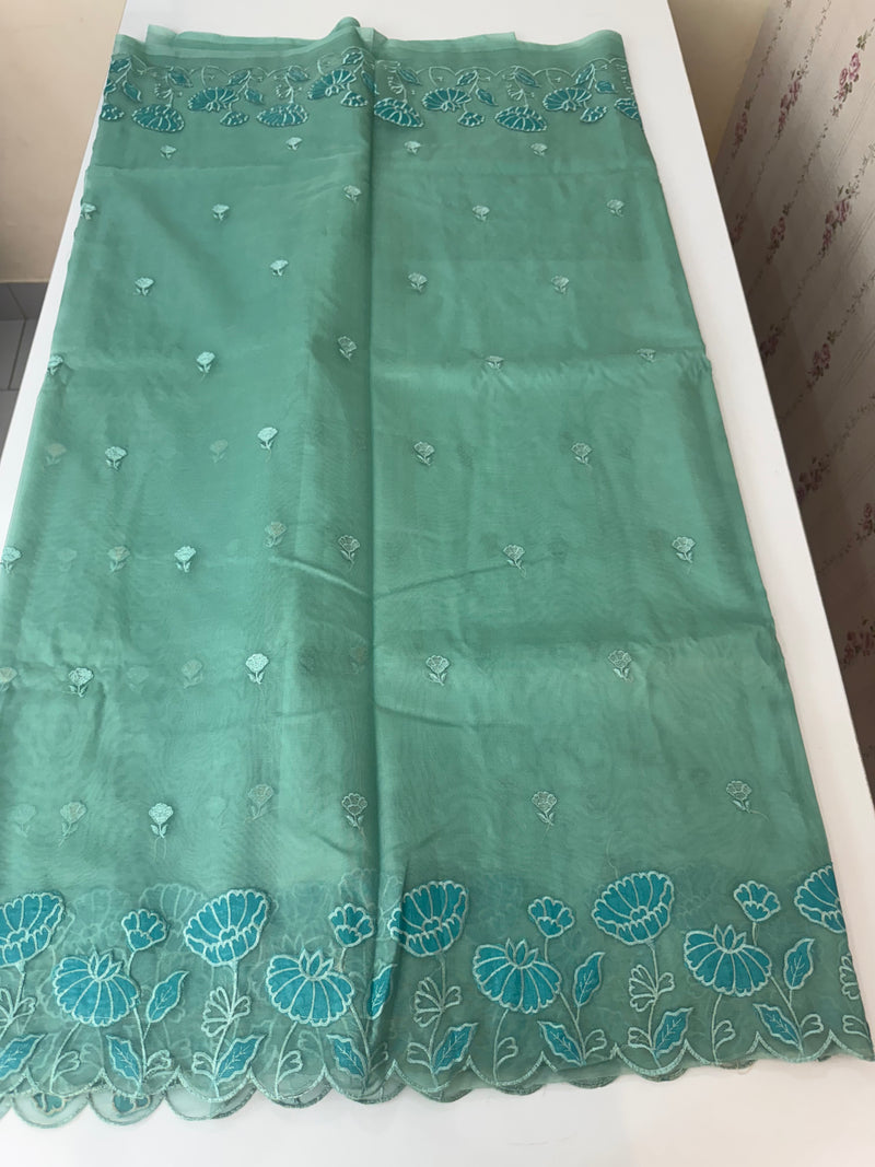 Viscose Organza saree with applique work-MSH103 GreenmixBlue