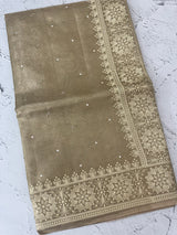 Tissue silk saree with Chikankari embroidery MTTS97(2)