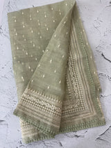 Tissue Organza saree with  thread work - MS14798 PastelGreen