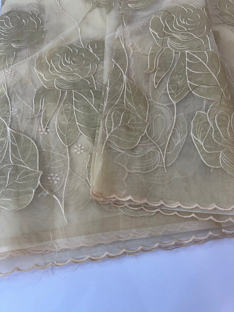 Organza saree with tissue applique work MS5081 - Beige