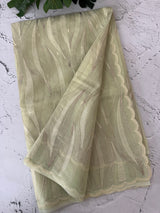 Semi organza saree with thread work - MSH910 PastelGreen