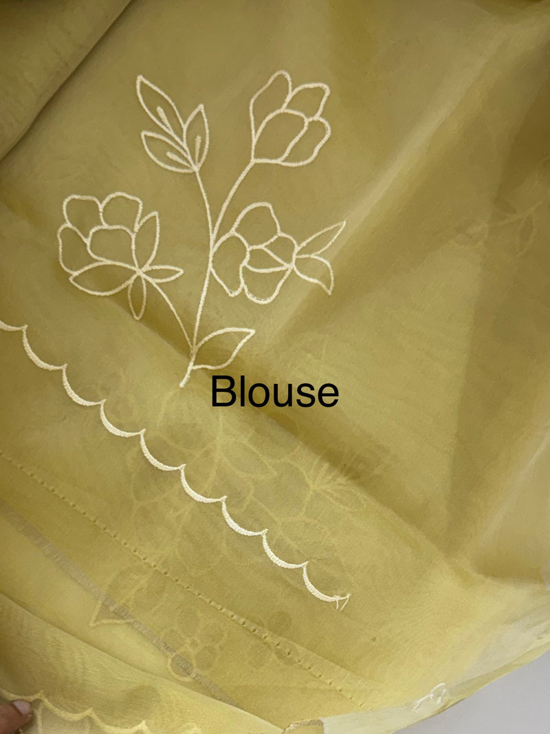 Organza saree with applique work MS5081