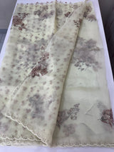 Handworked Glass organza saree with digital prints- MOS987